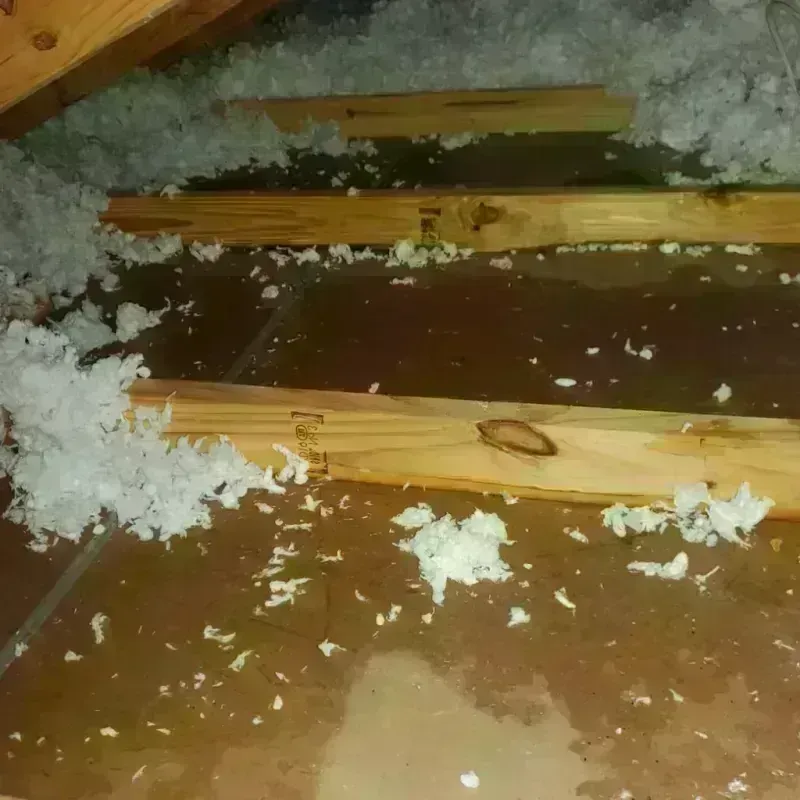 Attic Water Damage in Sumter County, AL