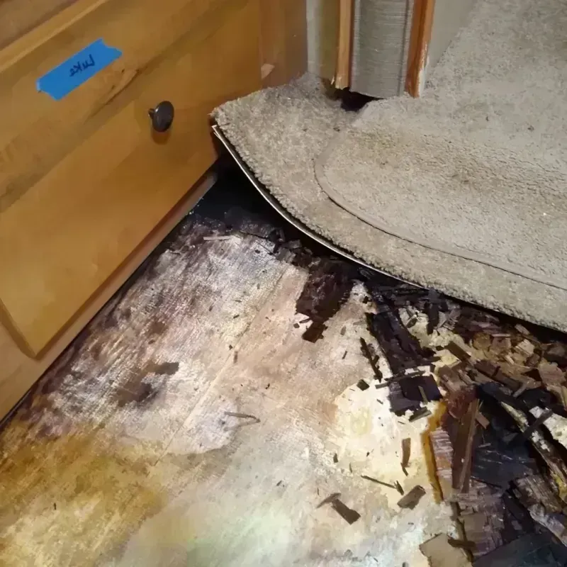 Wood Floor Water Damage in Sumter County, AL